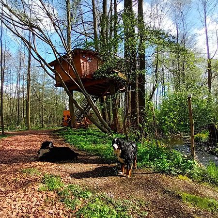 Treehouse V Brdech Villa Bohutin  Exterior photo